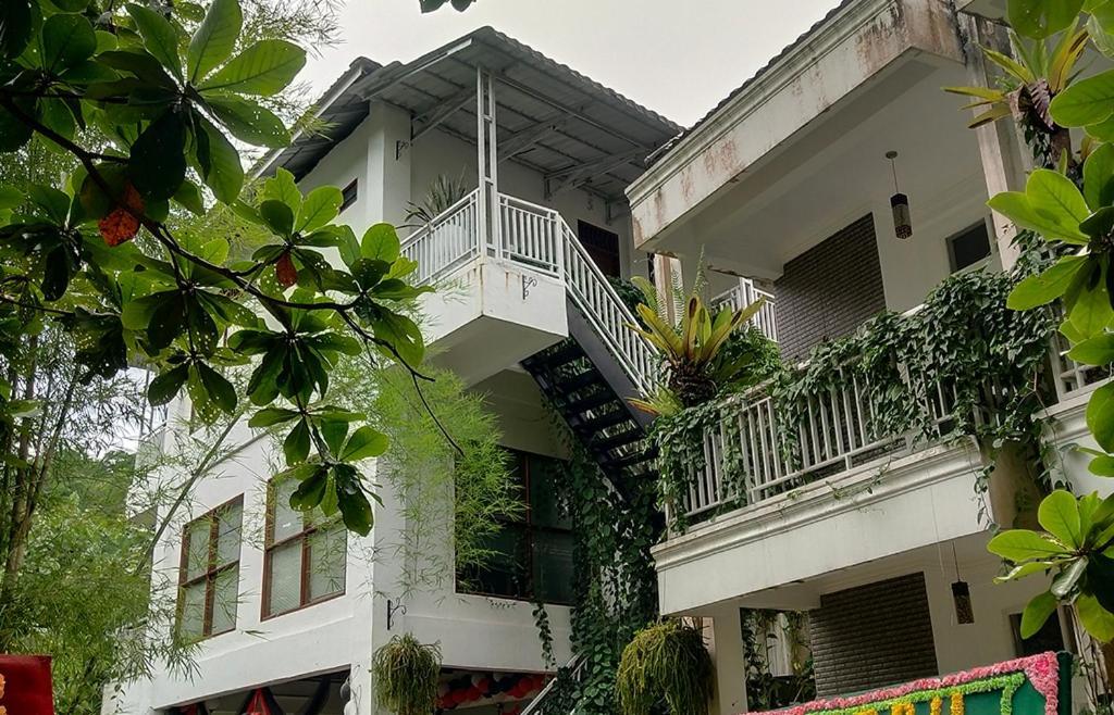 New The Heritage Resort & Restaurant Bukit Lawang Bandartelu Exterior photo